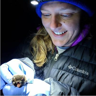 Winter, Swamps, and White Nose Syndrome: Katie Haase Winter, Swamps, and White Nose Syndrome: Katie Haase