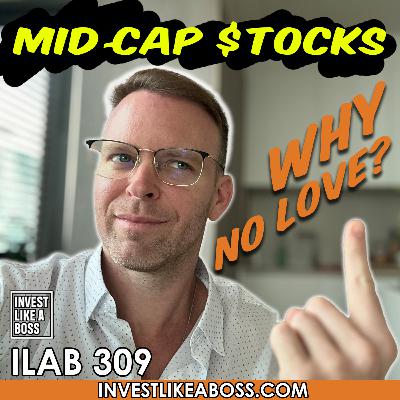 309: Why Do Mid-Caps Get No Love? An Argument for Mid-Cap Funds 309: Why Do Mid-Caps Get No Love? An Argument for Mid-Cap Funds