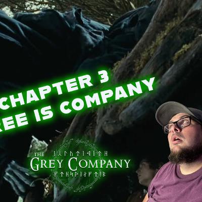 The Lord of the Rings Movie Study: Fellowship of The Ring Chapter 3