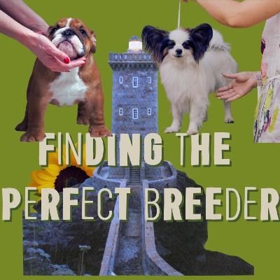 Finding the perfect breeder and rescue
