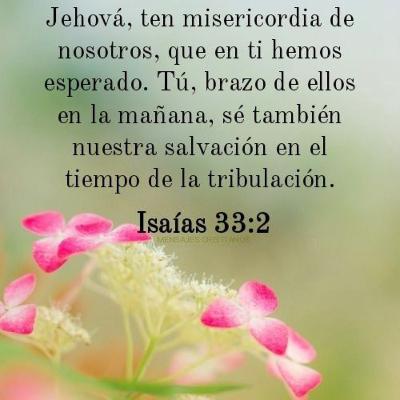 Isaías 33 ¡Oh Jehovah, ten misericordia de nosotros, en Ti hemos confiado! Sé tú nuestro brazo cada mañana, salvación en el tiempo de angustia… Nuestro juez, legislador y rey. ¡Él mismo nos salvará!