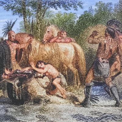 Pocahontas - Die Frau zwischen zwei Welten