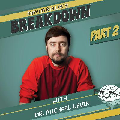 Part Two: Tufts Biologist: AI Breakthroughs In Cancer & Limb Regeneration — And What They Reveal About Alien Intelligence & Human Biology | Dr. Michael Levin