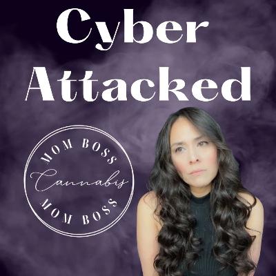 LIVE:  Cannabis Mom Boss CYBER ATTACKED