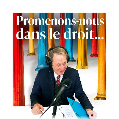 Episode 01  - Promenons-nous avec... Jean-Denis Combrexelle