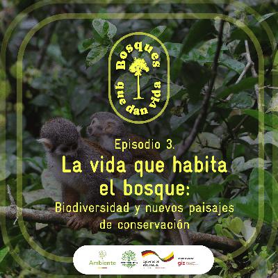 LA VIDA QUE HABITA EL BOSQUE LA VIDA QUE HABITA EL BOSQUE