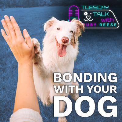 Bonding With Your Dog
