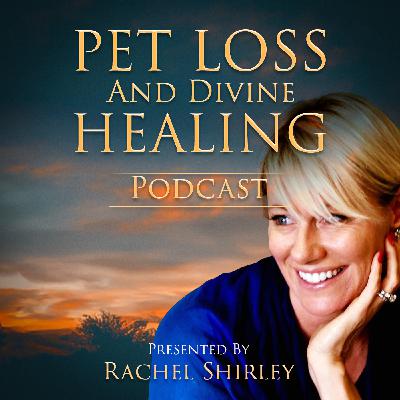 A Love Letter and Heartfelt Tribute to Veterinarians and Veterinary Support Teams