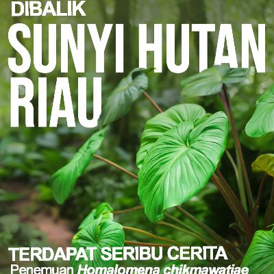 Di Balik Sunyi Hutan Riau - Terdapat Seribu Cerita