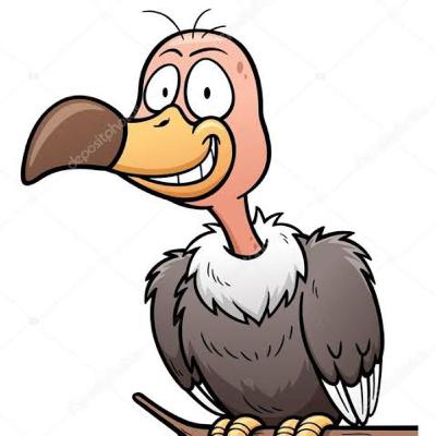 Conto O cágado e o urubu