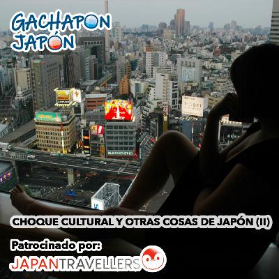 Gachapon Japón 26 - Choque cultural y otras cosas de Japón (II)