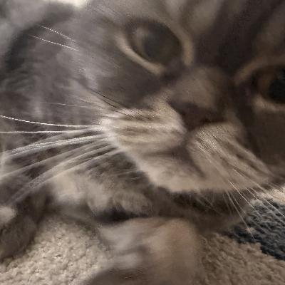 026 - 40 Questions to ask yourself in 2024