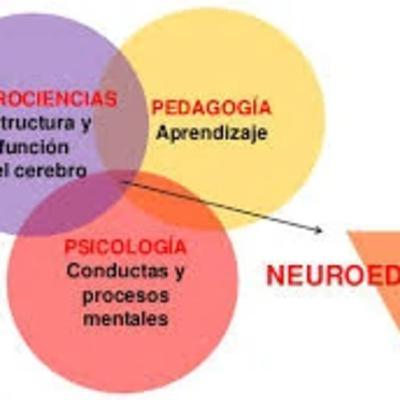 Entrevistas al conocimiento