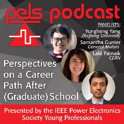 Perspectives on a Career Path After (Graduate) School