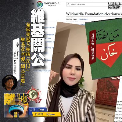 【維基關公】董事候選人被指「反以」　維基改例變「關公災難」《離地縱橫　2025.09.04》