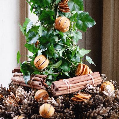 Quick and Easy Holiday Planter Topiary DIY Quick and Easy Holiday Planter Topiary DIY