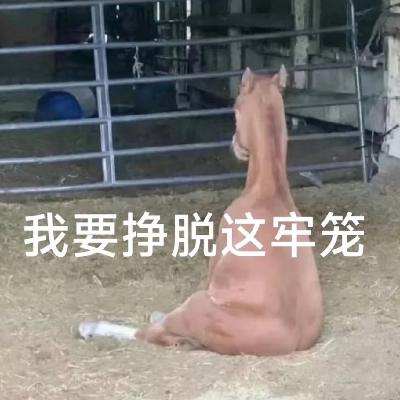 Vol.150 人生怕错过,全都怪网络 Vol.150 人生怕错过,全都怪网络