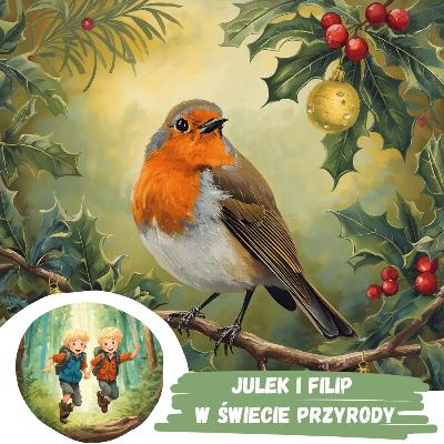 #58 Świąteczne przygotowania