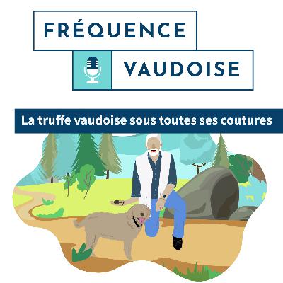 La truffe vaudoise sous toutes ses coutures La truffe vaudoise sous toutes ses coutures