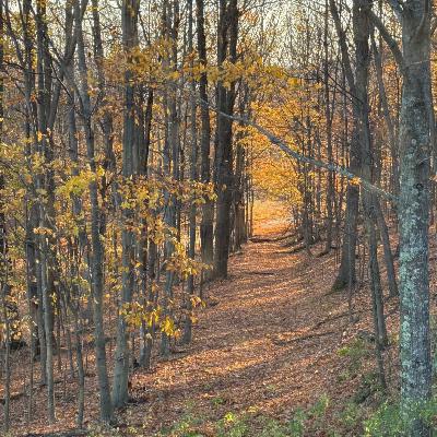 When Trials Reveal the Throne: Isaiah’s Defining Moment