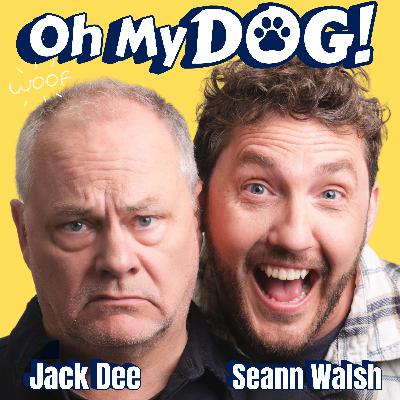 Season 4 Begins: Big News & Even Bigger Dog Chaos Season 4 Begins: Big News & Even Bigger Dog Chaos