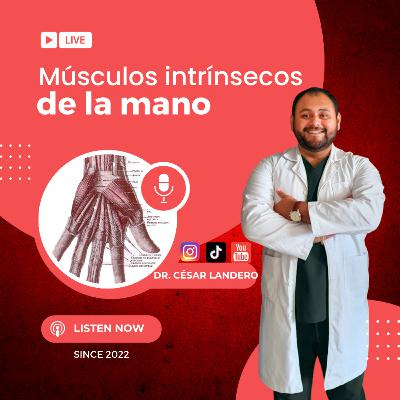 EP20T2 El Secreto del Pulgar y la Pinza Fina: Anatomía de la Mano
