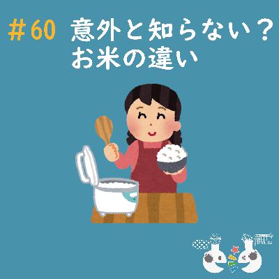 #60 意外と知らない？お米の違い〜#科学系ポッドキャストの日〜