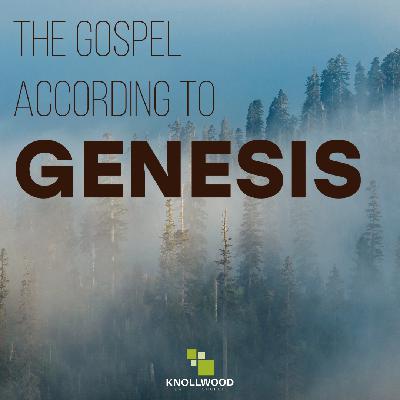 Blessing in the Midst of Brokenness | Genesis 49