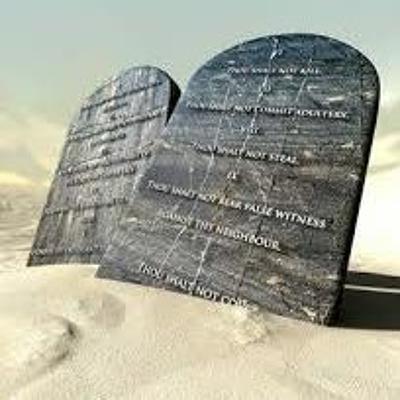 Built to Bend, Not Break: The Science of Staying Strong