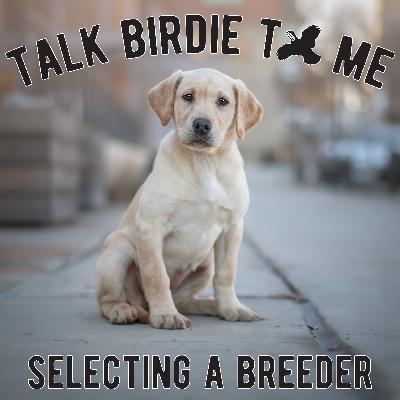4 | How to Choose a Dog Breeder 4 | How to Choose a Dog Breeder