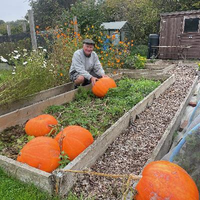 Growing Together - October 2025: Pumpkins galore! Growing Together - October 2025: Pumpkins galore!