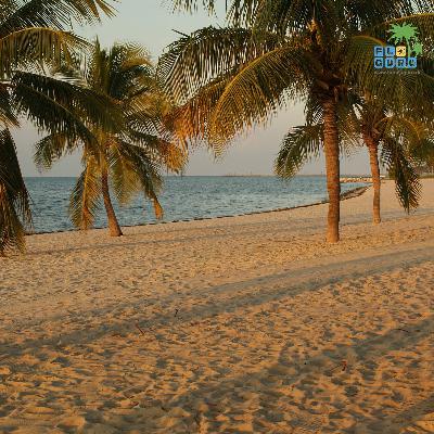 Florida Keys - Entweder du liebst sie oder Du hasst sie!