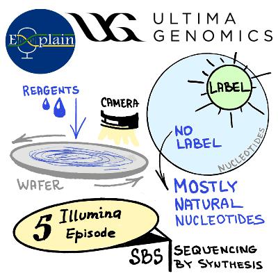 E14: Ultima Genomics + Element UltraQ