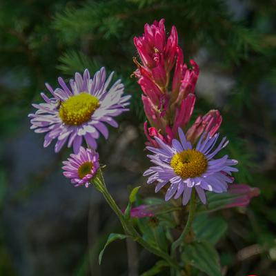 Happy Hiking: Emerald Lake and Heather Lake
