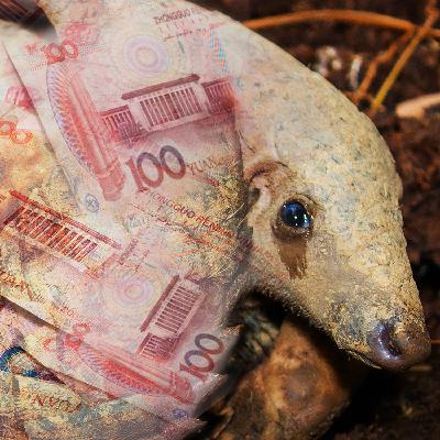 The threatened species in traditional medicines and the big names investing in them