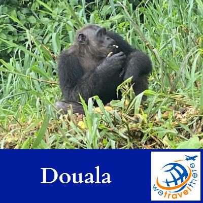 Douala, Cameroon | Edea Reserve, Ekom Nkam Waterfalls & Marche de Fleurs