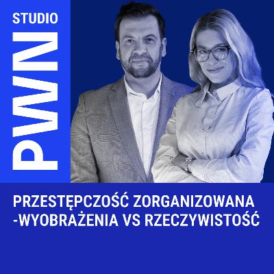 Przestępczość zorganizowana – wyobrażenia vs rzeczywistość Przestępczość zorganizowana – wyobrażenia vs rzeczywistość