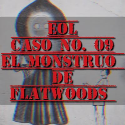 Caso No. 09.- El Monstruo de flatwoods