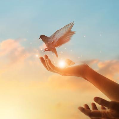 Will You Carry the Hope of Jesus ?