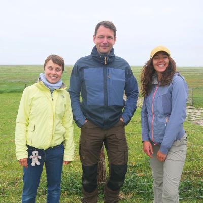 Zwischen Land und Meer: die Salzwiese