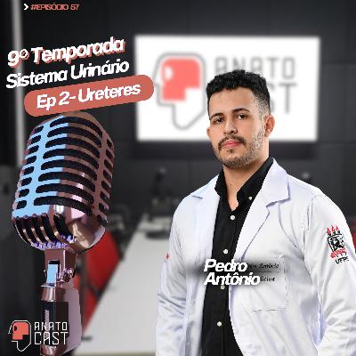 AnatoCast #57 - Ureteres AnatoCast #57 - Ureteres
