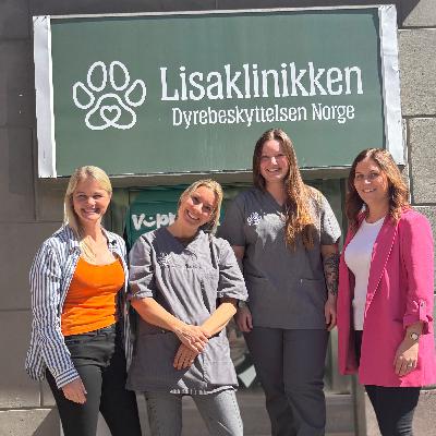 #7. Lisaklinikken- Når penger ikke står i veien for veterinærhjelp.