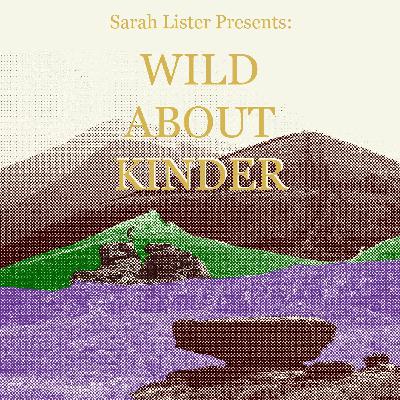 Wild About Kinder - What to expect and why you should listen