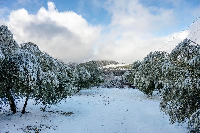Mesa de redacción: La primera vez que ves la nieve