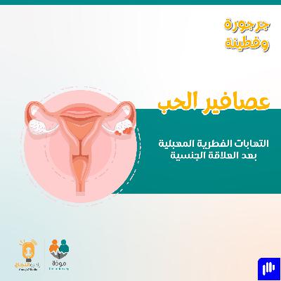 عصافير الحب: الالتهابات الفطريَّة بعد ممارسة العلاقة الجنسيَّة الزوجيَّة
