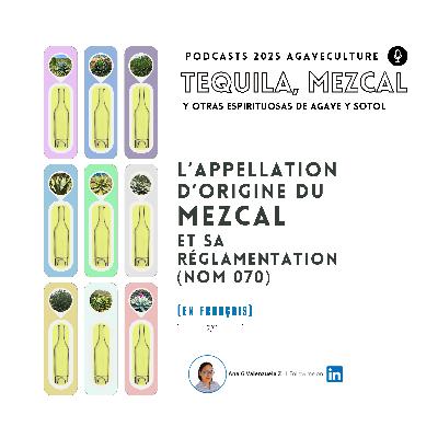 L’appellation d’origine du Mezcal et sa réglamentation (NOM 070)