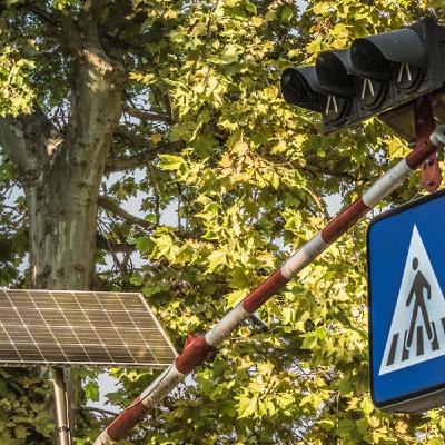Sinal Verde: quem tem a vez na travessia? Sinal Verde: quem tem a vez na travessia?