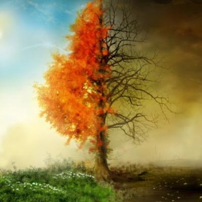 Life and death