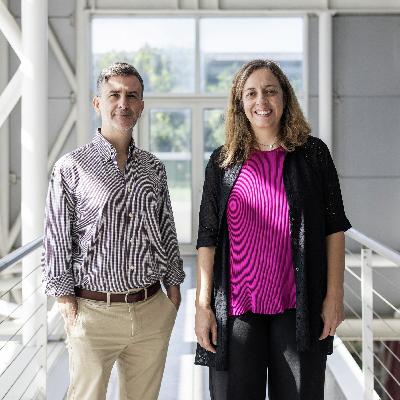 “A China primeiro quis deixar de ser pobre, depois dependente, depois quis ser rica e agora quer ser poderosa. À Europa falta motivação”