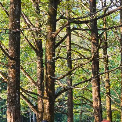 浙江美食地图「诸暨篇」Vol.30 浙江美食地图「诸暨篇」Vol.30